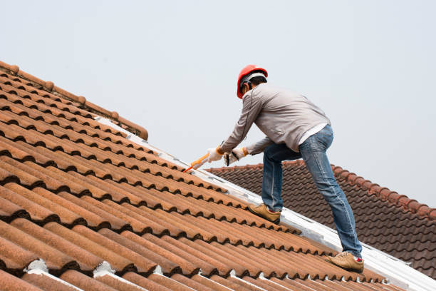 Best Roof Insulation Installation  in Eden Isle, LA